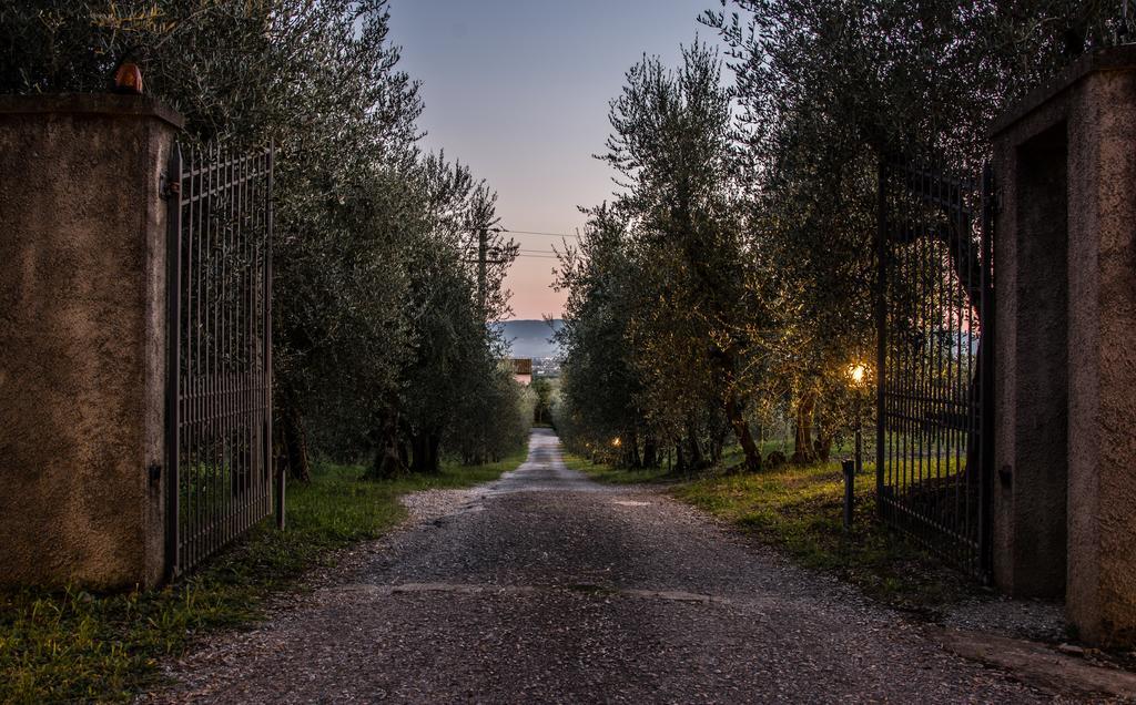 Agriturismo La Torricella Pistoia Exterior photo